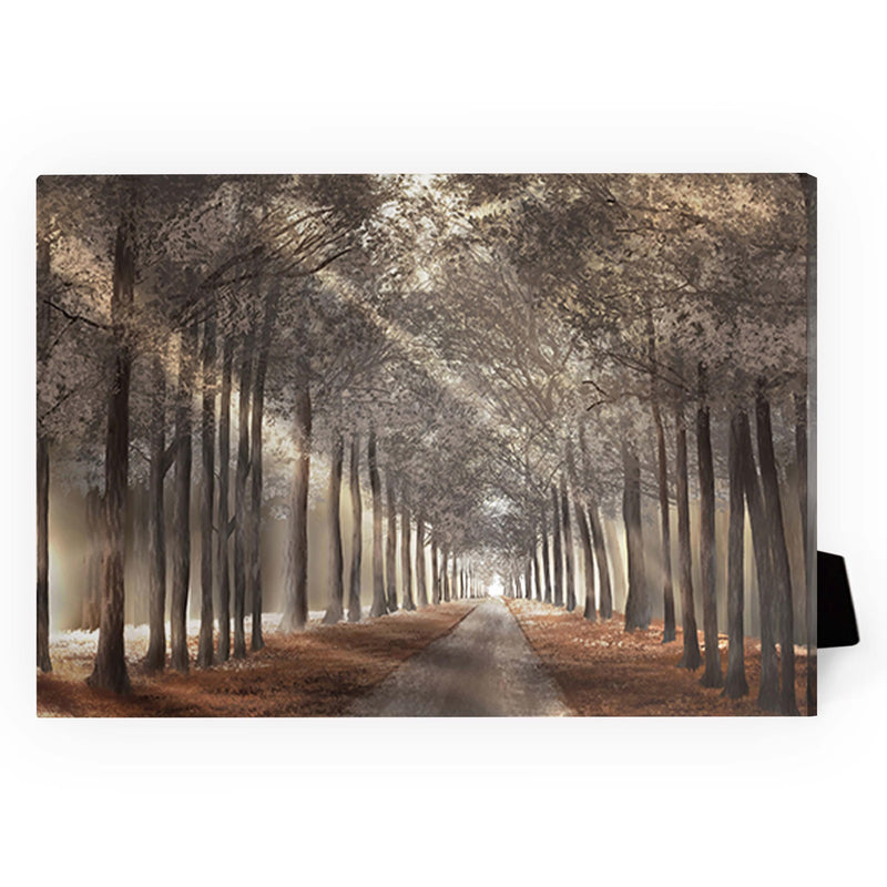 Forest Strolls Desktop Canvas