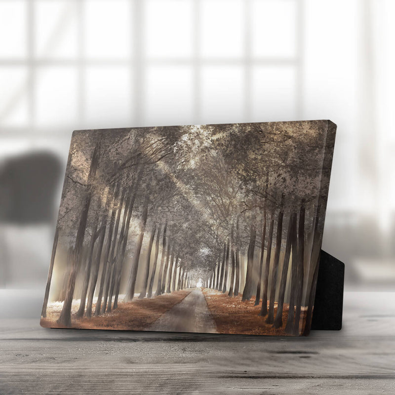 Forest Strolls Desktop Canvas