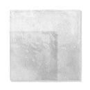 Forge Glossy Ceramic Accent Tiles 5x5