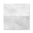 Forge Glossy Ceramic Accent Tiles 5x5