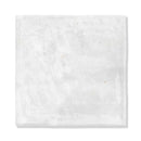 Forge Glossy Ceramic Tiles 5x5