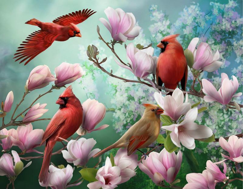 Four Beautiful Birds