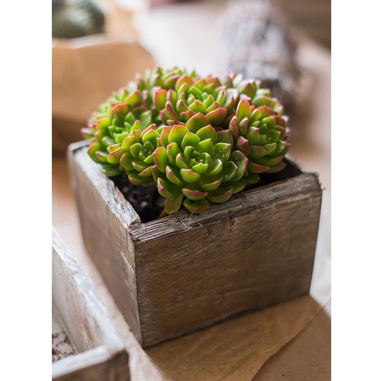 Four Piece Solid Wood Table Box Set