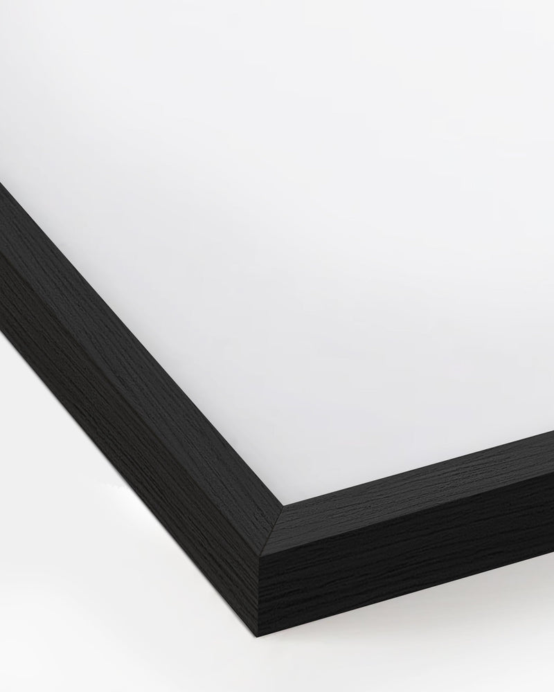 24x36 in, Set of 4, Black Oak Frame