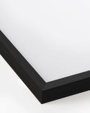 11x14, Black Oak Plexi Frame
