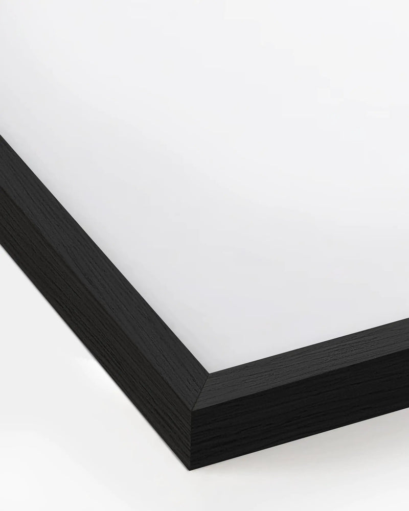 12x16, Black Aluminum Plexi Frame, photo 3 of 5