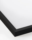24x36, Black Oak Plexi Frame