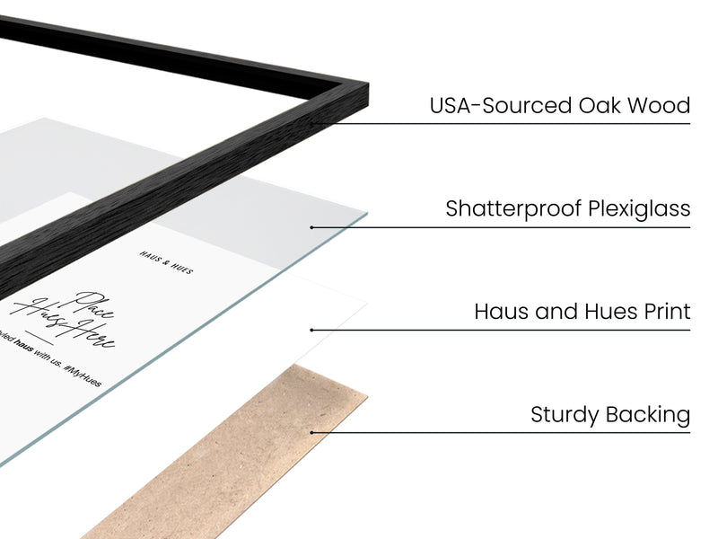 16x20 in, Set of 6, Black Oak Frame