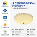 GobekUsa Cream Wind LED Glass Ceiling Lamp: French Design for Bedroom, Study, Balcony, Cafe