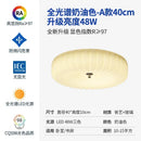 GobekUsa Cream Wind LED Glass Ceiling Lamp: French Design for Bedroom, Study, Balcony, Cafe