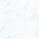 Frontier20 Michelangelo Extra White Marble Look Porcelain Pavers 12x12