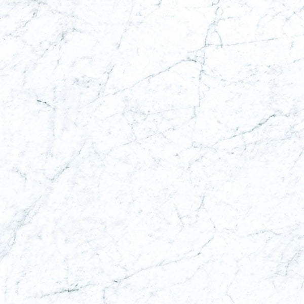 Frontier20 Michelangelo Extra White Marble Look Porcelain Pavers 24x24