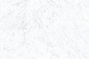 Frontier20 Michelangelo Extra White Coping & Stair Bullnose Marble Look Porcelain Moldings 12x48