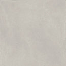 Frontier20 Passion Silver Double Mesh Concrete Look Porcelain Moldings 24x24