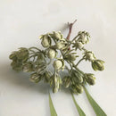 Frosted greenery berry stamen bundle for living room diy decor by Decorbites