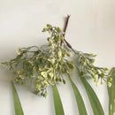 Frosted greenery berry stamen bundle for living room diy decor by Decorbites