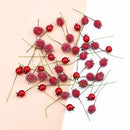Frosted red foam cherry artificial fruits dining room decor set by Decorbites