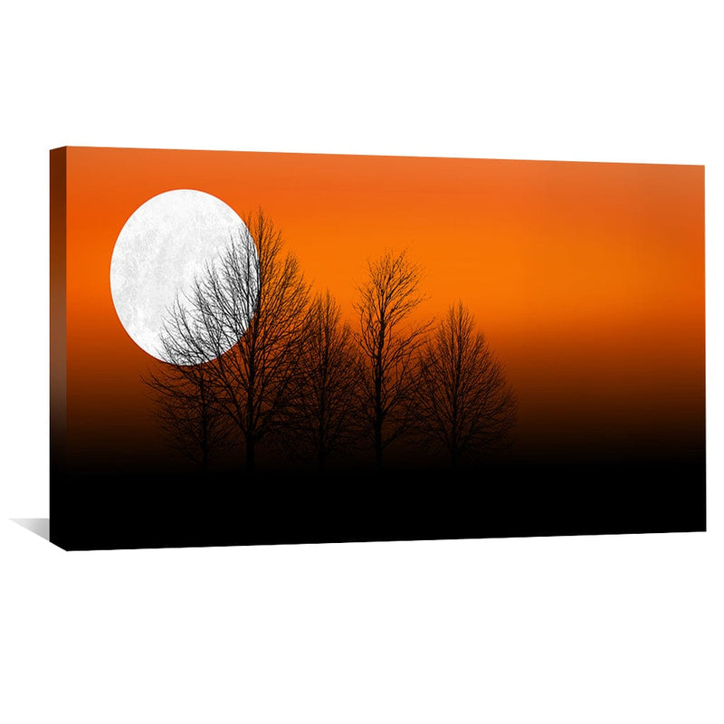 Full Moon Nights Canvas