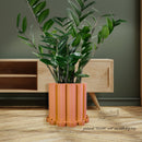 Funky Flow Planter with Drainage and Unique Tray