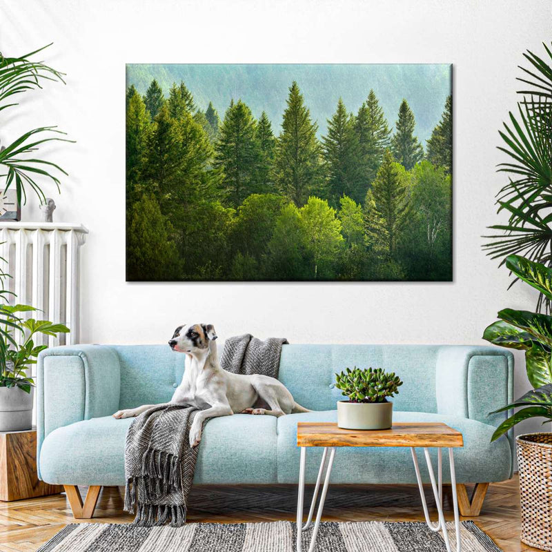 Lush Green Pine Trees Wall Art