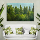 Lush Green Pine Trees Wall Art