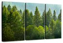 Lush Green Pine Trees Wall Art