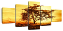 African Tree At Sunset Wall Art