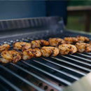 G22 | Stainless Tabletop Propane Gas Grill by Monument Grills
