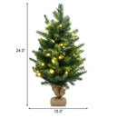 24 Inch Tabletop Fir Artificial Christmas Tree with LED Lights by LJGDeals
