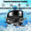 48lbs Stainless Ice Maker with LCD & Self-Cleaning by DirectDeals