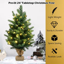 24 Inch Tabletop Fir Artificial Christmas Tree with LED Lights by LJGDeals