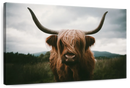 Open Field Highland Cow Wall Art