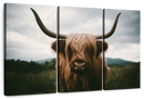 Open Field Highland Cow Wall Art