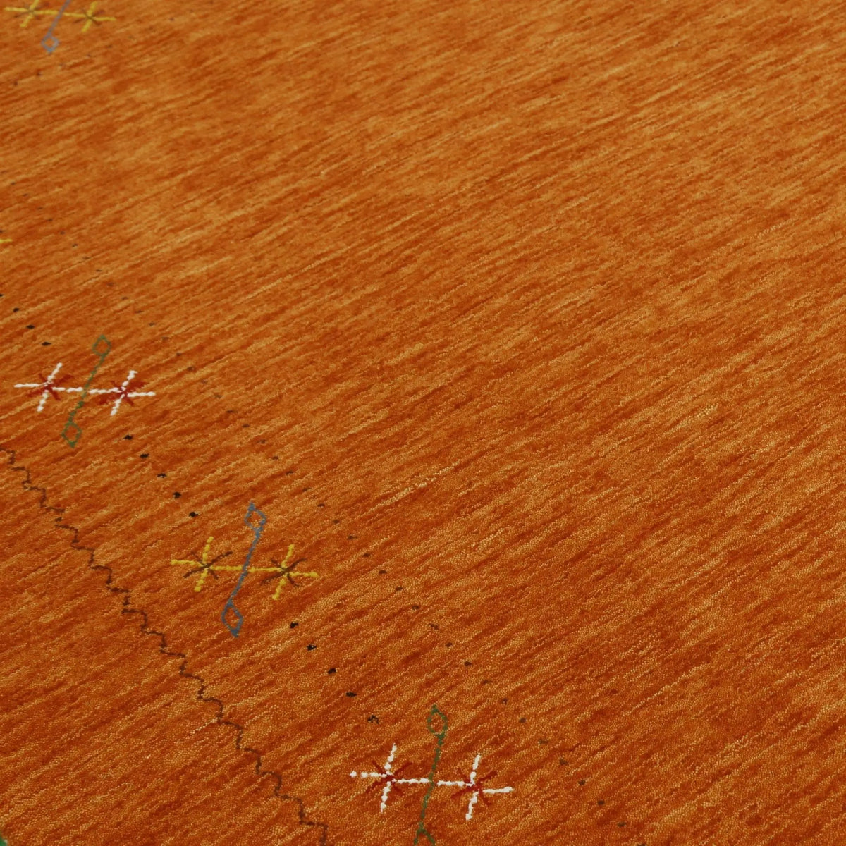Orange Rust Gabbeh Wool Area Rug Hand Loomed with Traditional Colorful Border Design, photo 8 of 12