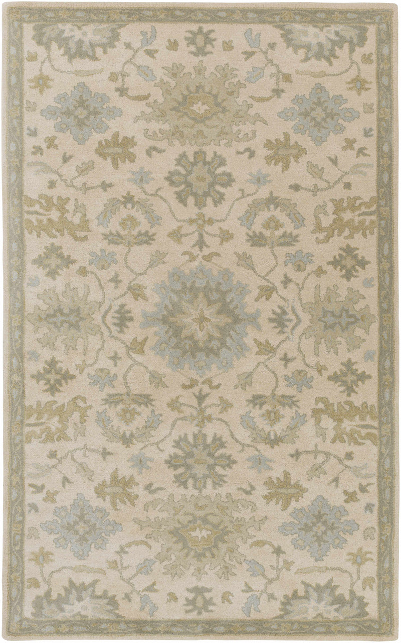 Hazen 1197 Hand Tufted Light Beige Wool Rug