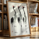 Graceful Cranes