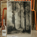 Enchanted Grove