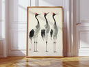 Graceful Cranes