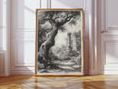 Ancient Woods