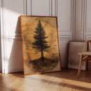Timber Solitude
