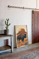 American Western Bison