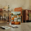 Pumpkin Harvest