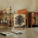 Timeless Oaks