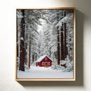 Sanctuary Beneath Snow-Covered Pines