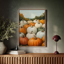 Pumpkin Harvest