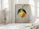 Serenade of Citrus