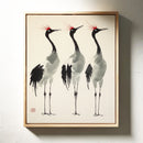 Graceful Cranes