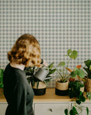 Garden Window in Misted Indigo