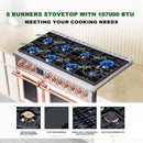 48" Freestanding Gas Range with 8 Sealed Burners Cooktop, Rapid Convection Oven, Natural Gas/LP Convertible - AK-G48N05A-BS