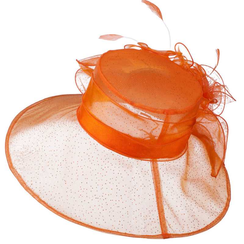 Glitter Bow Accent Organza Hat